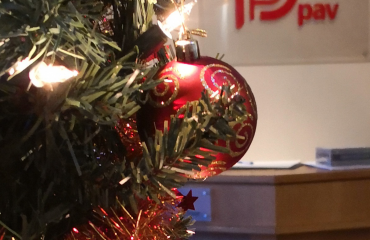 PAV i.t. Services December Newsletter, christmas tree