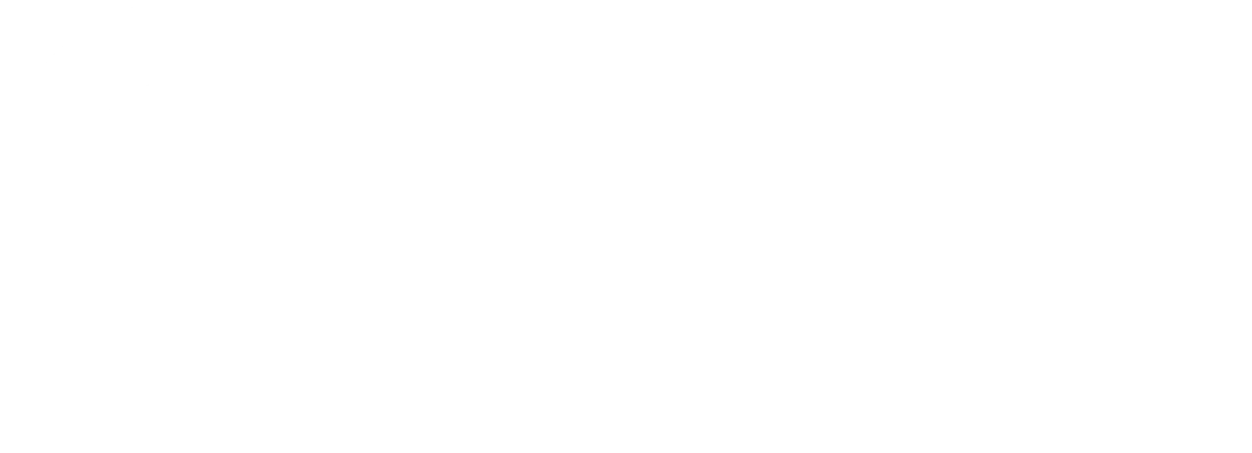 PAV IT